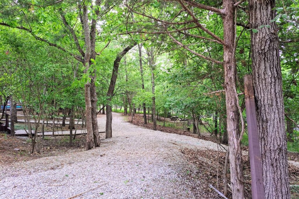 87962cc47e1942d897e17f1938c9b9e4-Large